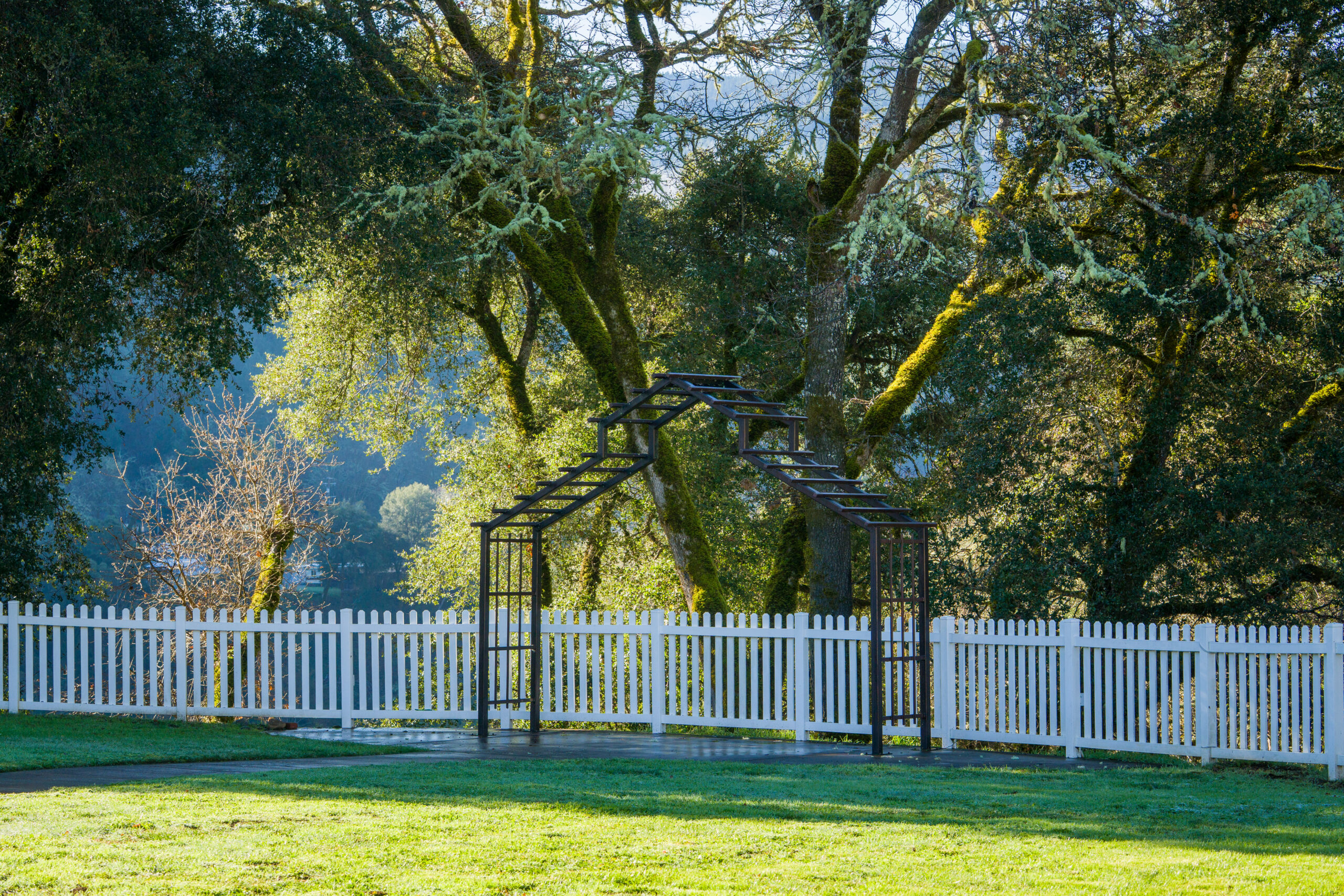outside wedding arch
